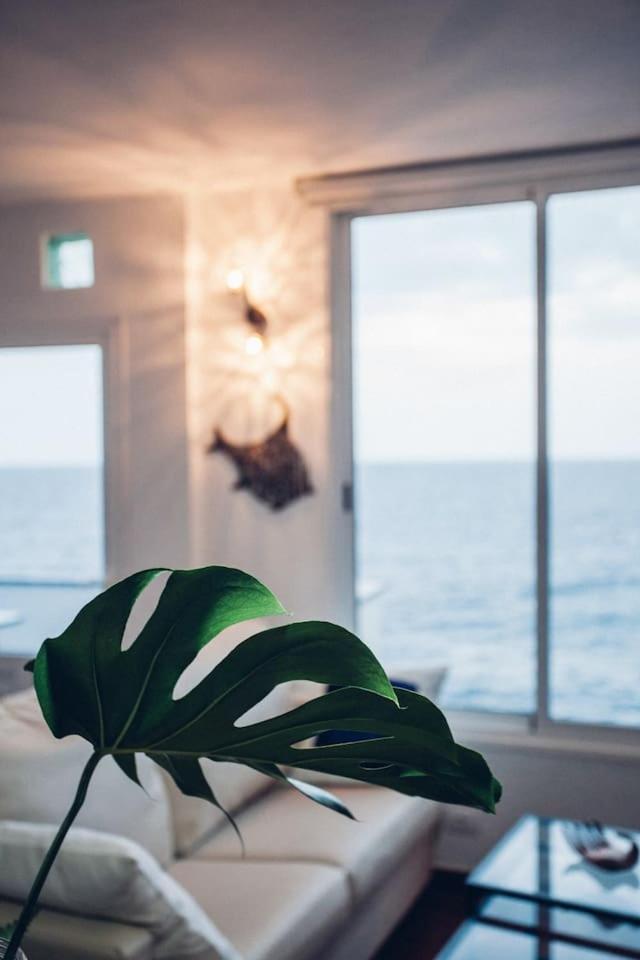 Canary Casita Next To The Atlantic Ocean Radazul 객실 사진